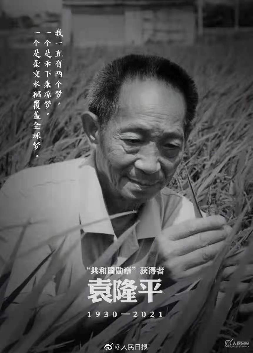 緬懷，國之脊梁——雜交水稻之父